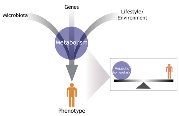 the power of metabolomics in early stage cancer detection at Biomark Diagnostics